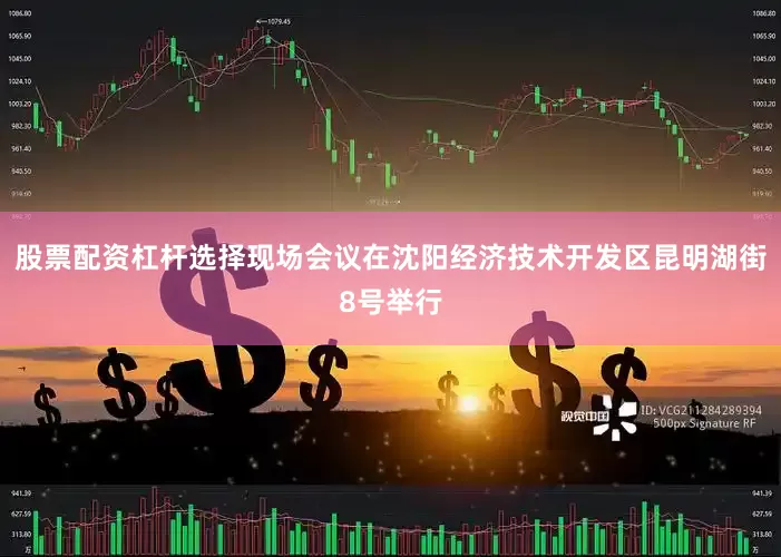 股票配资杠杆选择现场会议在沈阳经济技术开发区昆明湖街8号举行