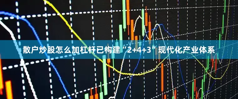 散户炒股怎么加杠杆已构建“2+4+3”现代化产业体系