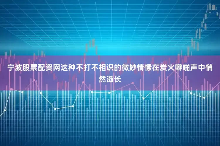 宁波股票配资网这种不打不相识的微妙情愫在炭火噼啪声中悄然滋长